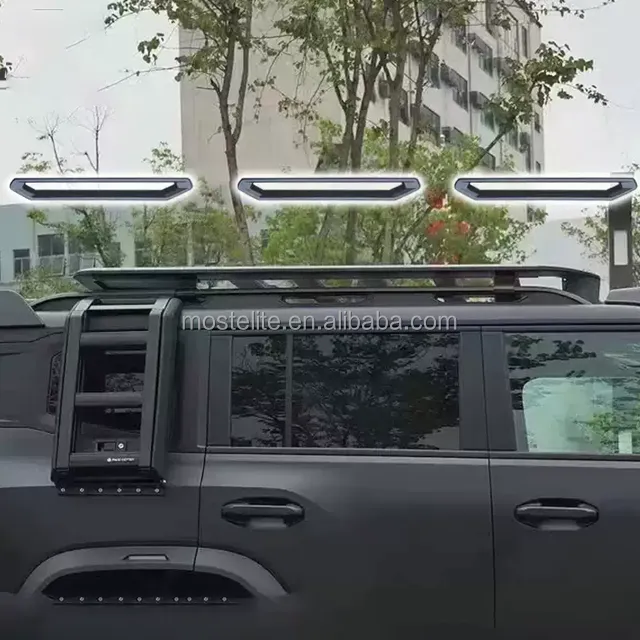 المصنع مباشرة رف سقف الديكور الزخارف . Factory Direct Roof Rack Decoration