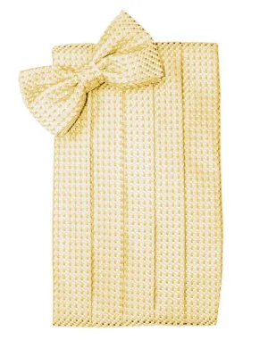 Harvest Maize Venetian Cummerbund