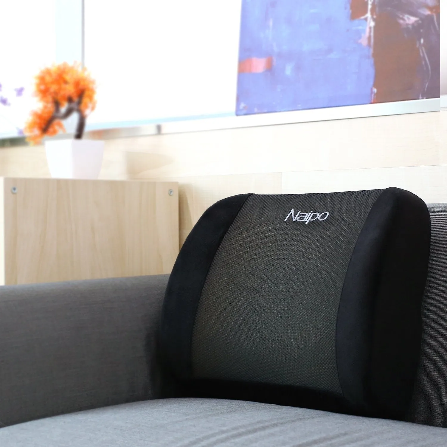 Naipo Memory Foam Lumbar Support Cushion