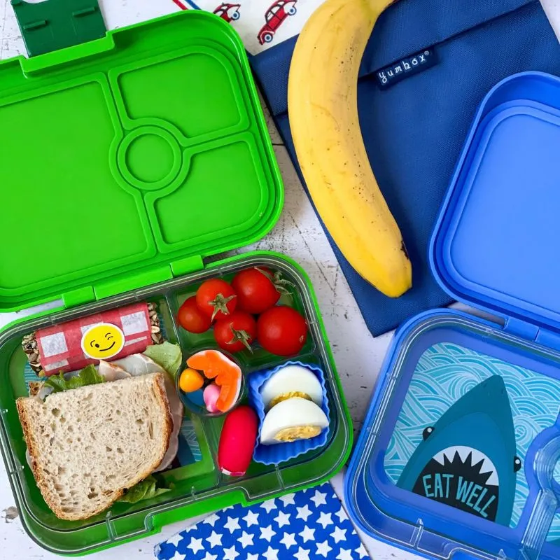 Panino Bento Box