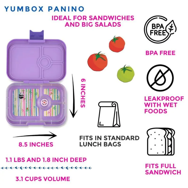 Panino Bento Box