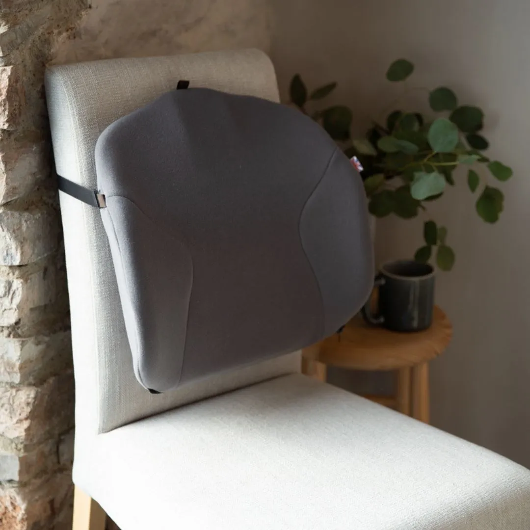 Putnams Memory Foam Chair Back Cushion - Superest