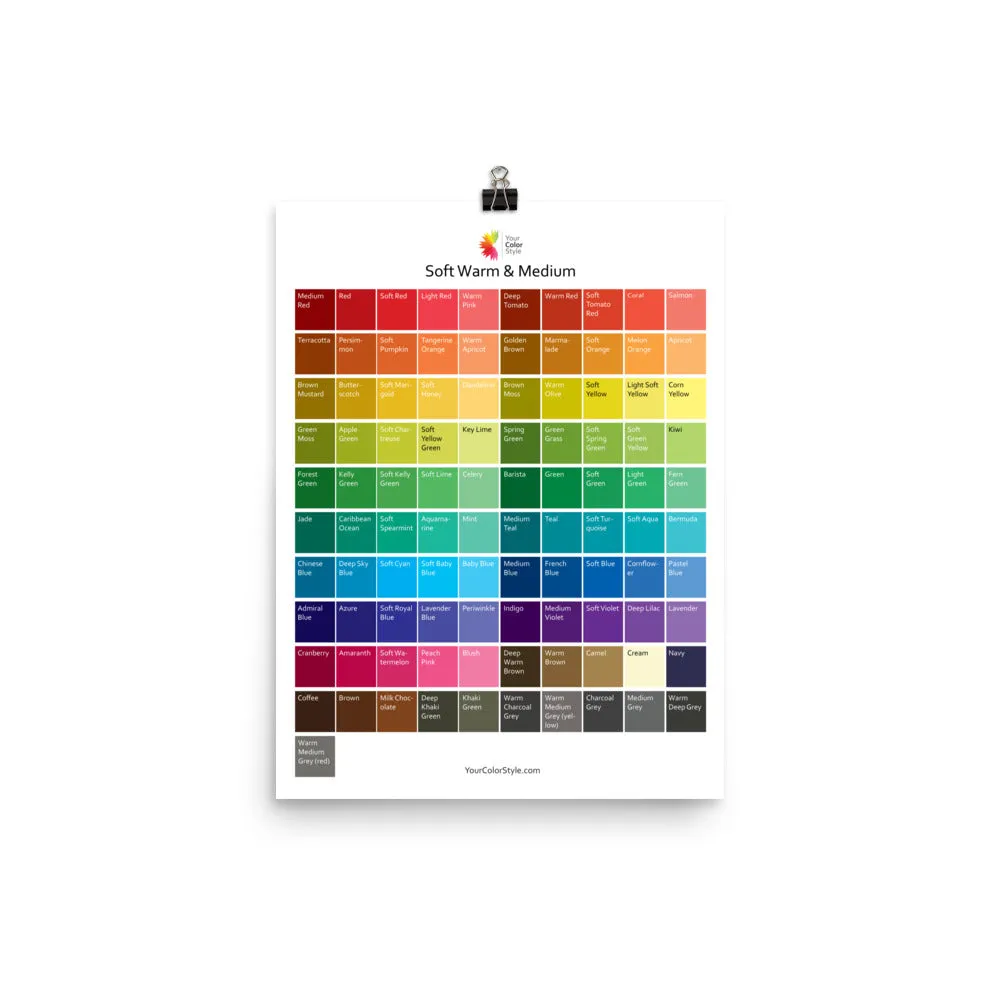 Soft Warm Medium Color Palette Poster