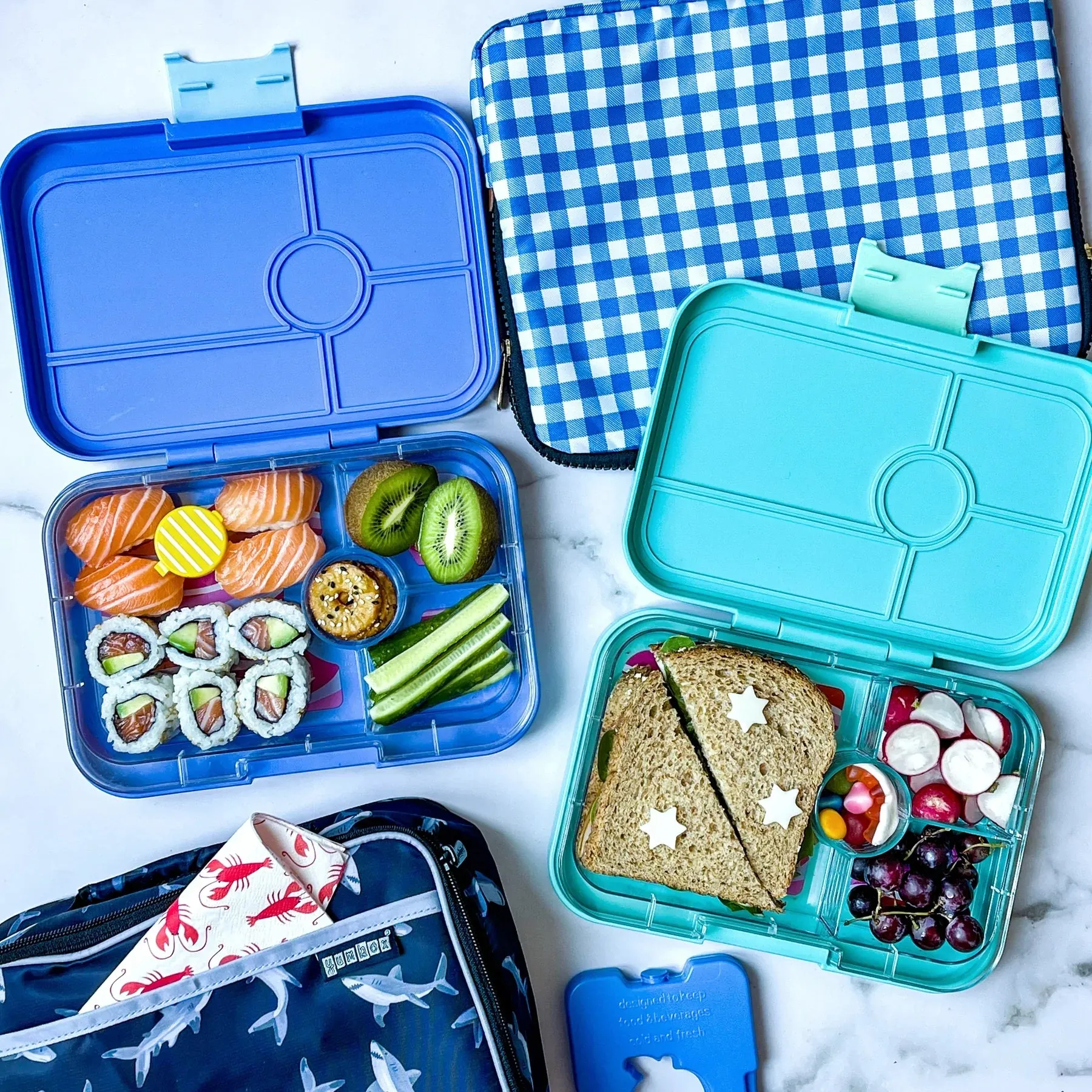 Yumbox Tapas Large Bento Lunchbox-SHARK TRAY 4 Compartment